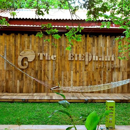 The Elephant Next-Door Удавалаве Екстериор снимка