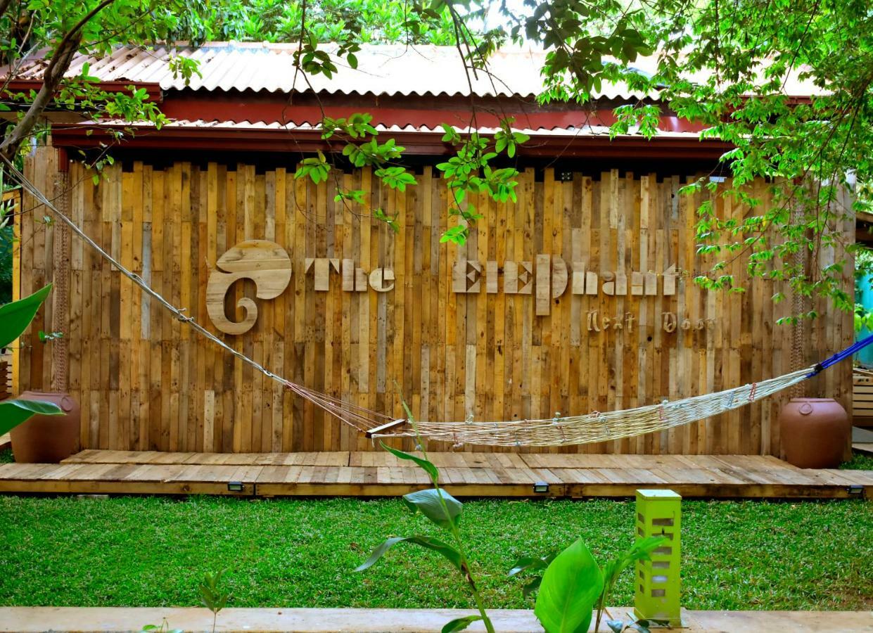 The Elephant Next-Door Удавалаве Екстериор снимка